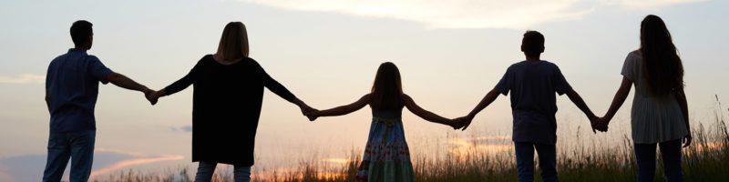 family silhouette at sunset holding hands in a field