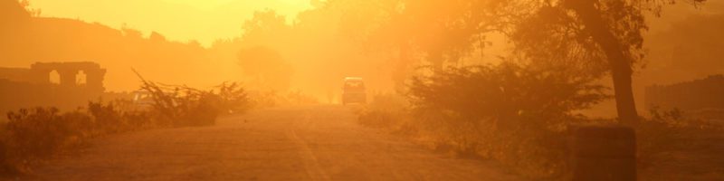 The Countryside of India - Sanctified by the Least of These