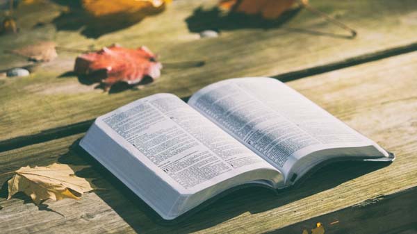 The Book of Acts Connect Group with Ekkehardt Mueller
